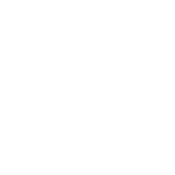 Soar Logo